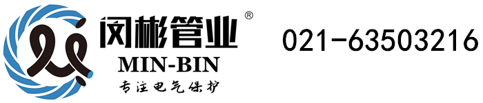 大玩家app